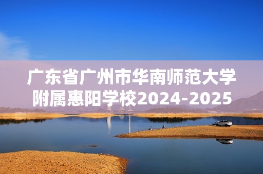 广东省广州市华南师范大学附属惠阳学校2024-2025九年级上学期期中学情调研考试化学试卷（答案）