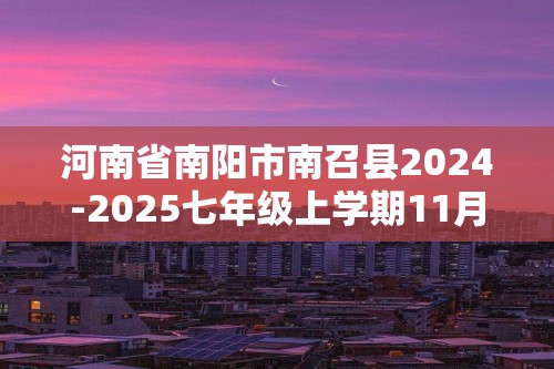 河南省南阳市南召县2024-2025七年级上学期11月期中数学试题（图片版无答案）