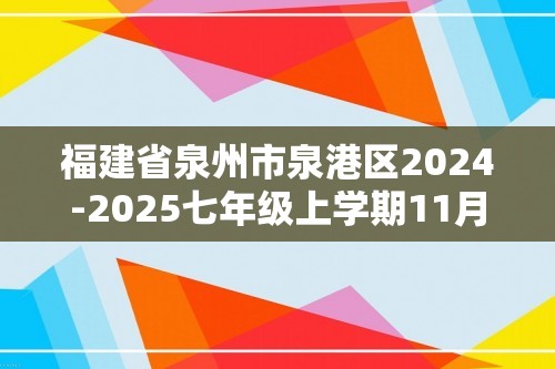 福建省泉州市泉港区2024-2025七年级上学期11月期中考试数学试题（图片版含答案）