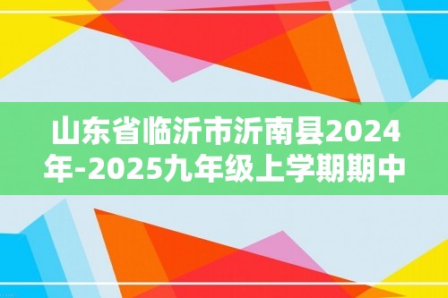 山东省临沂市沂南县2024年-2025九年级上学期期中考试化学试题（答案）