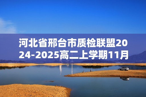 河北省邢台市质检联盟2024-2025高二上学期11月期中考试化学试题（答案）