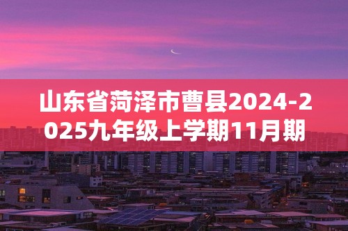 山东省菏泽市曹县2024-2025九年级上学期11月期中化学试题（图片版含答案）