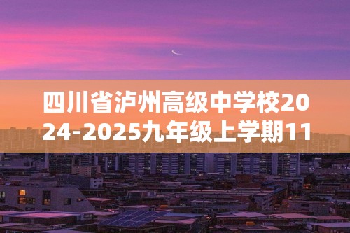 四川省泸州高级中学校2024-2025九年级上学期11月期中考试化学试题（答案）