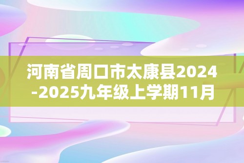 河南省周口市太康县2024-2025九年级上学期11月期中考试化学试题（图片版含答案）