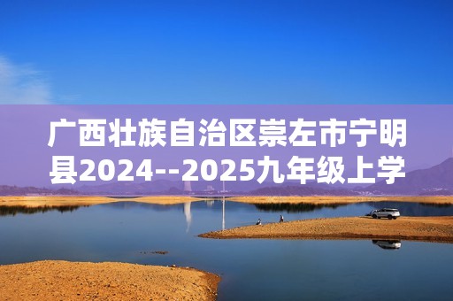 广西壮族自治区崇左市宁明县2024--2025九年级上学期11月期中化学试题（答案）