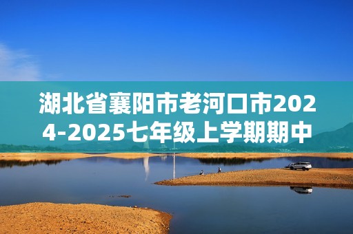 湖北省襄阳市老河口市2024-2025七年级上学期期中考试数学试题（含答案）