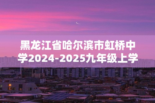 黑龙江省哈尔滨市虹桥中学2024-2025九年级上学期化学期中试卷（图片版含答案）