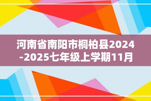 河南省南阳市桐柏县2024-2025七年级上学期11月期中数学试题（含答案）