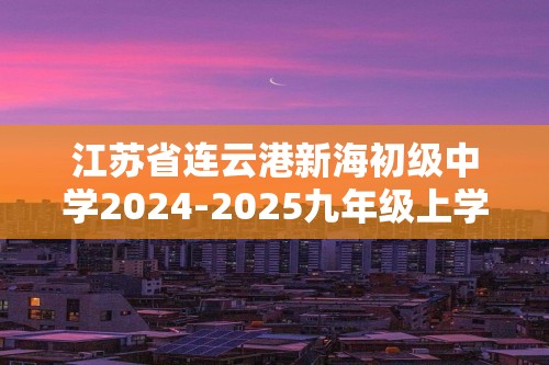 江苏省连云港新海初级中学2024-2025九年级上学期期中考试化学试题（答案）