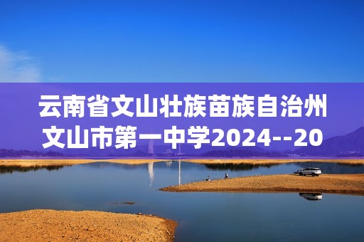 云南省文山壮族苗族自治州文山市第一中学2024--2025九年级上学期11月期中化学试题(答案)