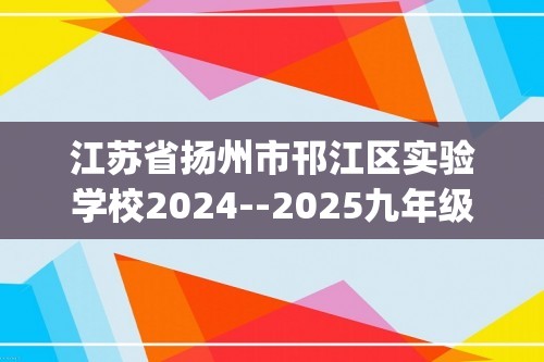 江苏省扬州市邗江区实验学校2024--2025九年级上学期化学期中试卷(答案)