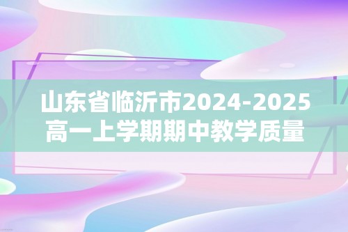 山东省临沂市2024-2025高一上学期期中教学质量检测数学试题（含答案）