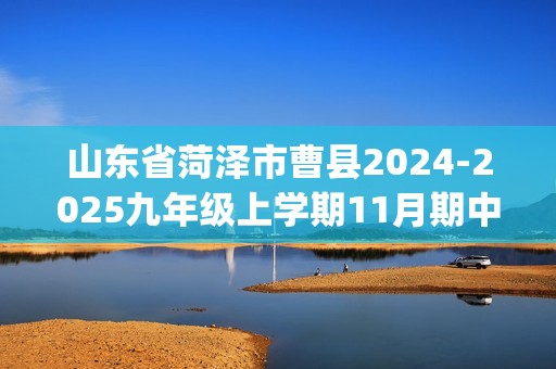 山东省菏泽市曹县2024-2025九年级上学期11月期中化学试题(答案)