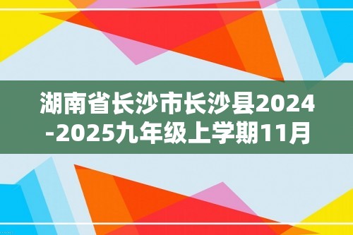 湖南省长沙市长沙县2024-2025九年级上学期11月期中考试化学试题（图片版无答案）