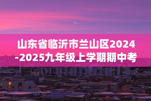 山东省临沂市兰山区2024-2025九年级上学期期中考试化学试卷(答案)