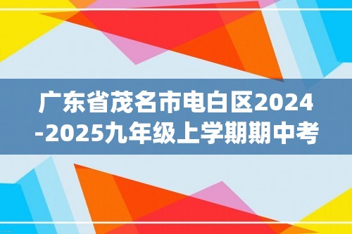 广东省茂名市电白区2024-2025九年级上学期期中考试化学试题(答案)