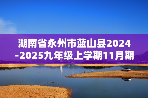 湖南省永州市蓝山县2024-2025九年级上学期11月期中化学试题（图片版含答案）