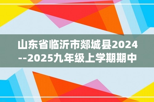 山东省临沂市郯城县2024--2025九年级上学期期中考试化学试卷（含答案)