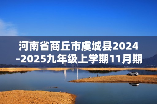 河南省商丘市虞城县2024-2025九年级上学期11月期中考试化学试题（答案）