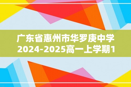 广东省惠州市华罗庚中学2024-2025高一上学期11月期中考试 化学试题（无答案）