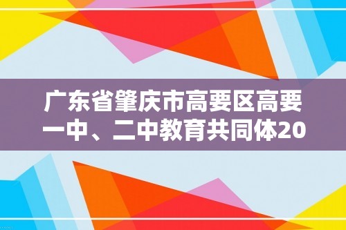 广东省肇庆市高要区高要一中、二中教育共同体2024--2025九年级上学期11月期中化学试题（答案）