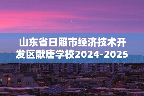 山东省日照市经济技术开发区献唐学校2024-2025九年级上学期期中考试化学试卷（答案）