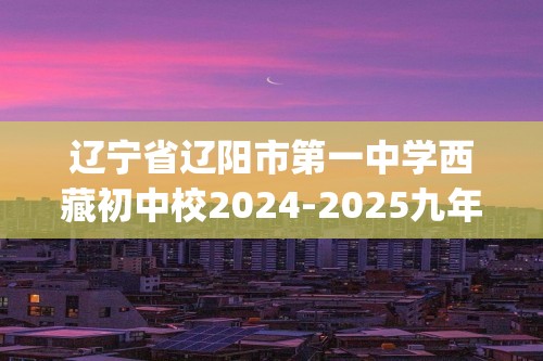 辽宁省辽阳市第一中学西藏初中校2024-2025九年级上学期11月期中化学试题(答案)