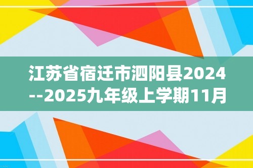 江苏省宿迁市泗阳县2024--2025九年级上学期11月期中化学试题(答案)