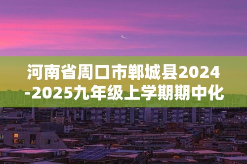 河南省周口市郸城县2024-2025九年级上学期期中化学试卷（答案）