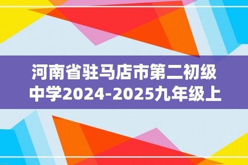 河南省驻马店市第二初级中学2024-2025九年级上学期11月期中化学试题（含答案)