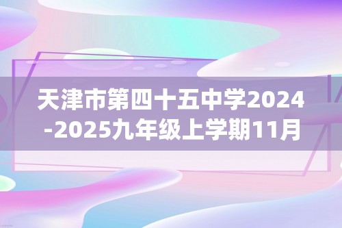 天津市第四十五中学2024-2025九年级上学期11月期中考试化学试题(答案)