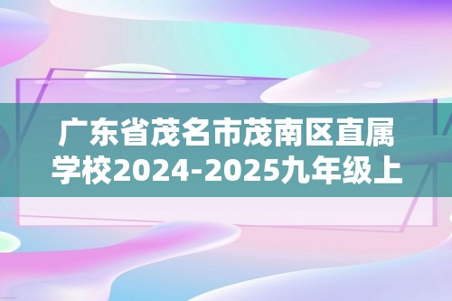 广东省茂名市茂南区直属学校2024-2025九年级上学期期中考试化学试题（答案）