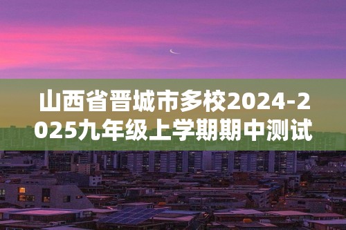 山西省晋城市多校2024-2025九年级上学期期中测试化学试卷（答案）