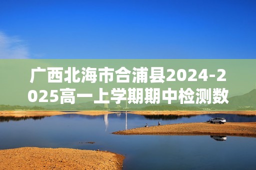 广西北海市合浦县2024-2025高一上学期期中检测数学试题（含解析）