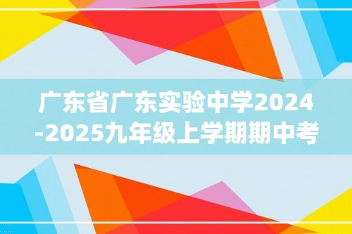 广东省广东实验中学2024-2025九年级上学期期中考化学试题（含答案)