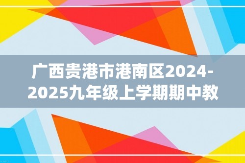 广西贵港市港南区2024-2025九年级上学期期中教学质量检测化学试题(无答案)