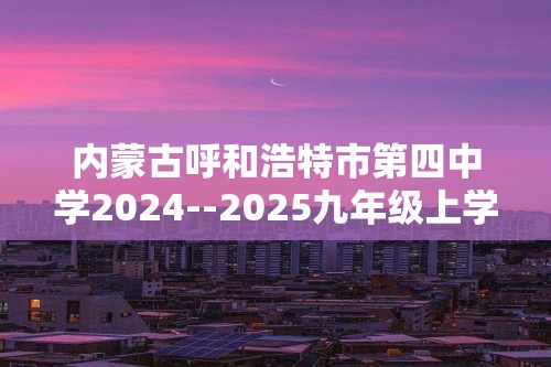 内蒙古呼和浩特市第四中学2024--2025九年级上学期化学期中测试卷（答案）