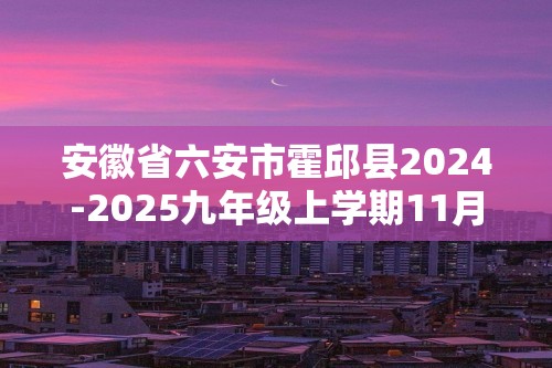 安徽省六安市霍邱县2024-2025九年级上学期11月期中考试化学试题（答案）