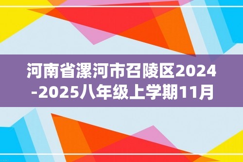 河南省漯河市召陵区2024-2025八年级上学期11月期中考试数学试题(含答案)