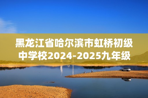 黑龙江省哈尔滨市虹桥初级中学校2024-2025九年级上学期期中考试化学试卷(答案)