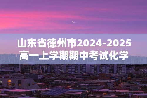 山东省德州市2024-2025高一上学期期中考试化学试卷（答案）