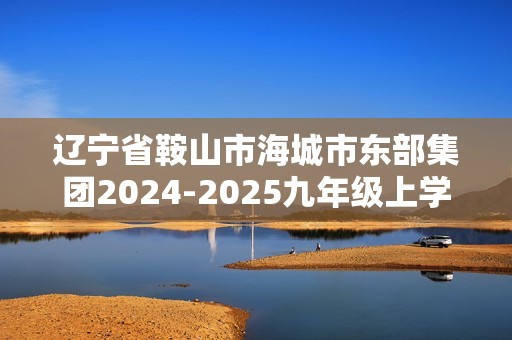 辽宁省鞍山市海城市东部集团2024-2025九年级上学期11月期中考试化学试题（答案）