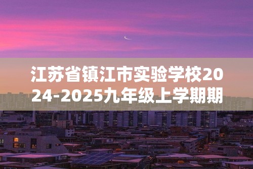 江苏省镇江市实验学校2024-2025九年级上学期期中考试化学试卷（图片版含答案）