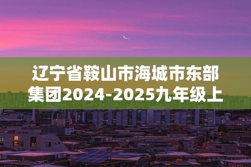 辽宁省鞍山市海城市东部集团2024-2025九年级上学期11月期中考试化学试题（图片版含答案）