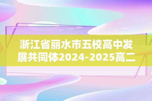 浙江省丽水市五校高中发展共同体2024-2025高二上学期11月期中考试化学试题（答案）