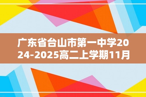 广东省台山市第一中学2024-2025高二上学期11月期中考试化学试题（答案）