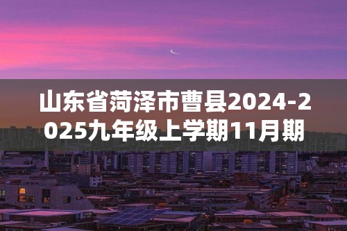 山东省菏泽市曹县2024-2025九年级上学期11月期中考试生物试题（答案）