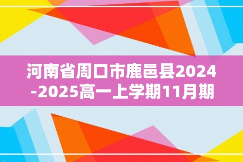 河南省周口市鹿邑县2024-2025高一上学期11月期中化学试题（答案）