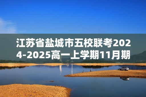 江苏省盐城市五校联考2024-2025高一上学期11月期中考试化学试题（答案）