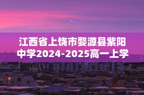 江西省上饶市婺源县紫阳中学2024-2025高一上学期11月检测化学卷（答案）